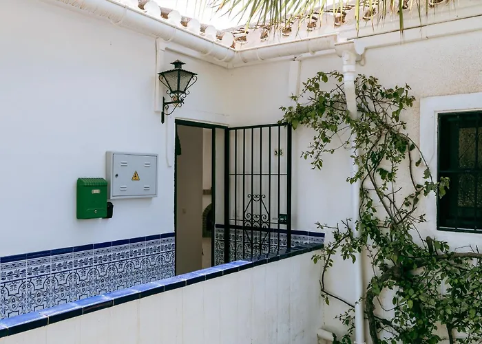 Apartamento Oasis 16