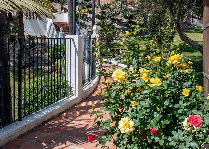 Apartament Oasis 16 *