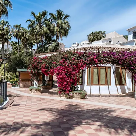Oasis 16 *