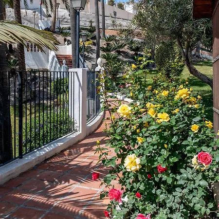 Apartment Oasis 16 *